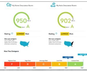 Auto Insurance Scores: Everything You Need to Know