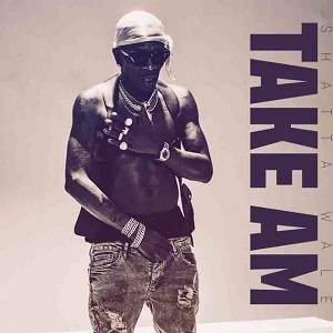 Shatta Wale – Take Am