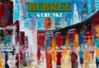 Guru NKZ - Bebree