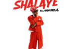 Bella Shmurda – Shalaye