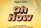 Skyface SDW - Oh How Ft Beeztrap KOTM, Kweku Smoke, Jay Bahd & Kwaku DMC