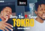 Sherry Boss Tokro Ft Fameye