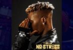 T Dollar – Ginger