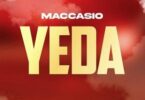 Maccasio - YEDA